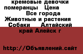 кремовые девочки померанцы › Цена ­ 30 000 - Все города Животные и растения » Собаки   . Алтайский край,Алейск г.